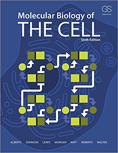 Test Bank for Molecular Biology of the Cell Sixth Edition