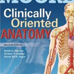 Clinically Oriented Anatomy 7Th Ed By Agur Dalley Test Bank