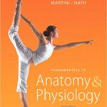 Fundamentals Of Anatomy Physiology 9th Edition By Frederic H. Martini Test Bank