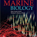 Marine Biology 10th Edition by Castr Test Bank