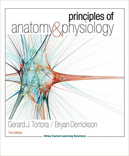 Principles of Anatomy Physiology 14th edition by Gerard J Tortora Test Bank