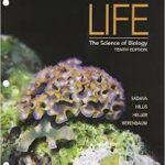 Sadava 10th Edition Life The Science of Biology Test Bank