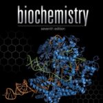 Test Bank For Biochemistry 7th Edition By Reginald H. Garrett