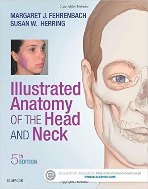 Test Bank for Illustrated Anatomy of the Head and Neck 5th Edition by Margaret J. Fehrenbach 1 1