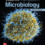 Test Bank for Talaros Foundations in Microbiology 11th Edition Barry Chess
